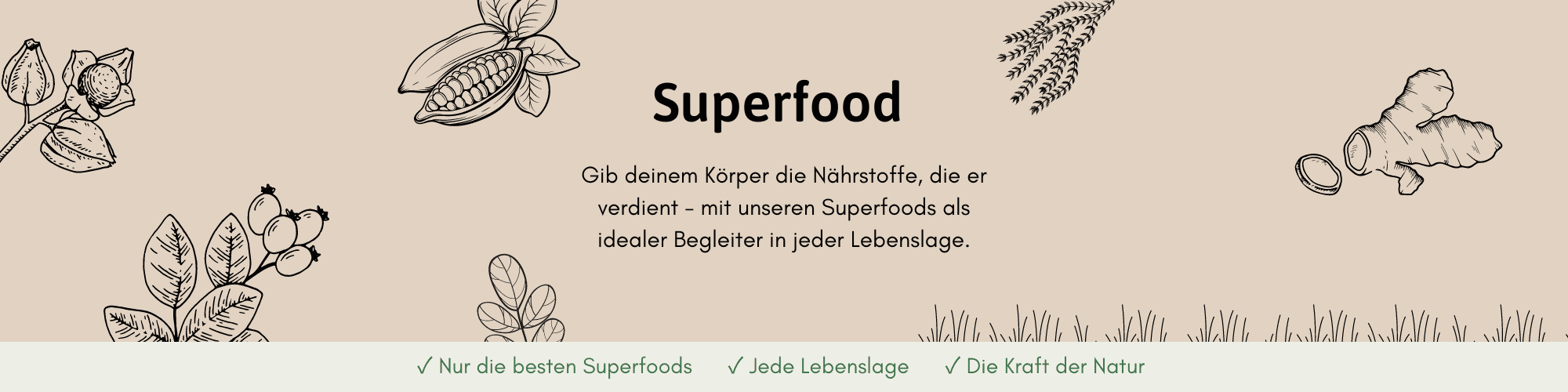 Hero-Illustration der Unterseite der Superfood-Seite von Herzlich Natur