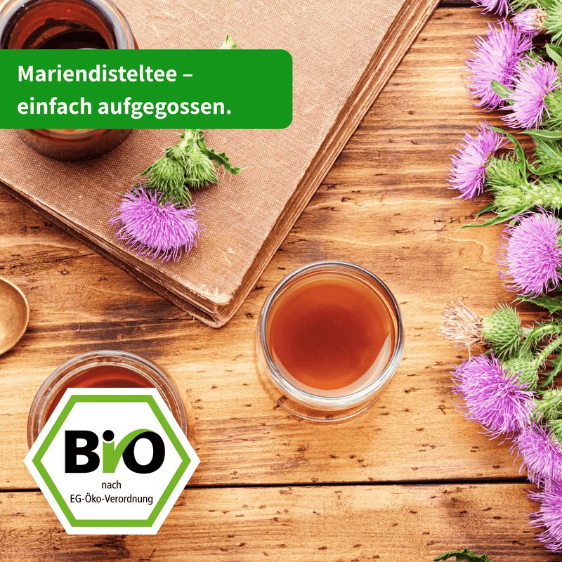 Bio Mariendistelkraut Tee