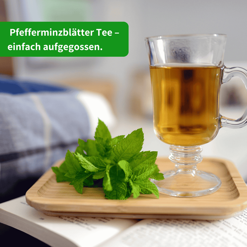 Bio Pfefferminzblätter Tee