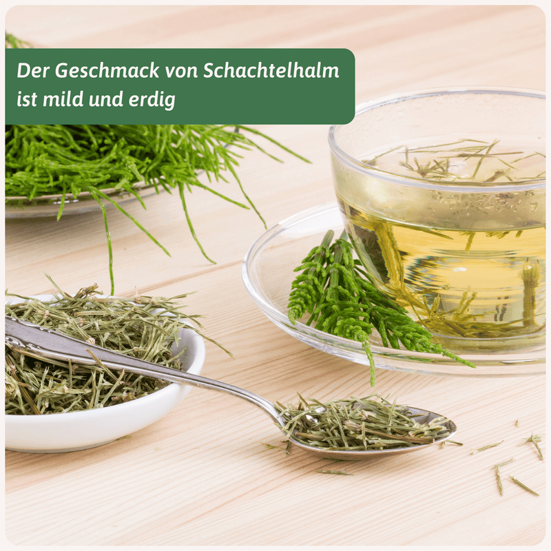 Bio Schachtelhalmkraut | Zinnkraut Tee