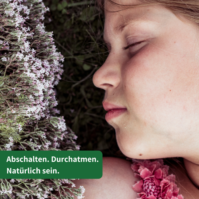 Bio Baldrianwurzel Tee