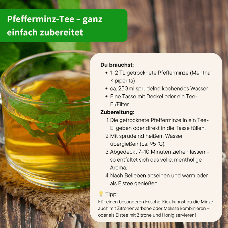 Bio Pfefferminzblätter Tee
