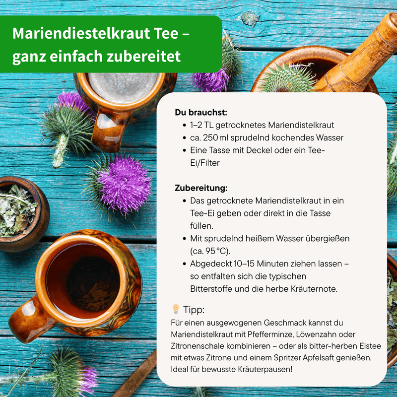 Bio Mariendistelkraut Tee