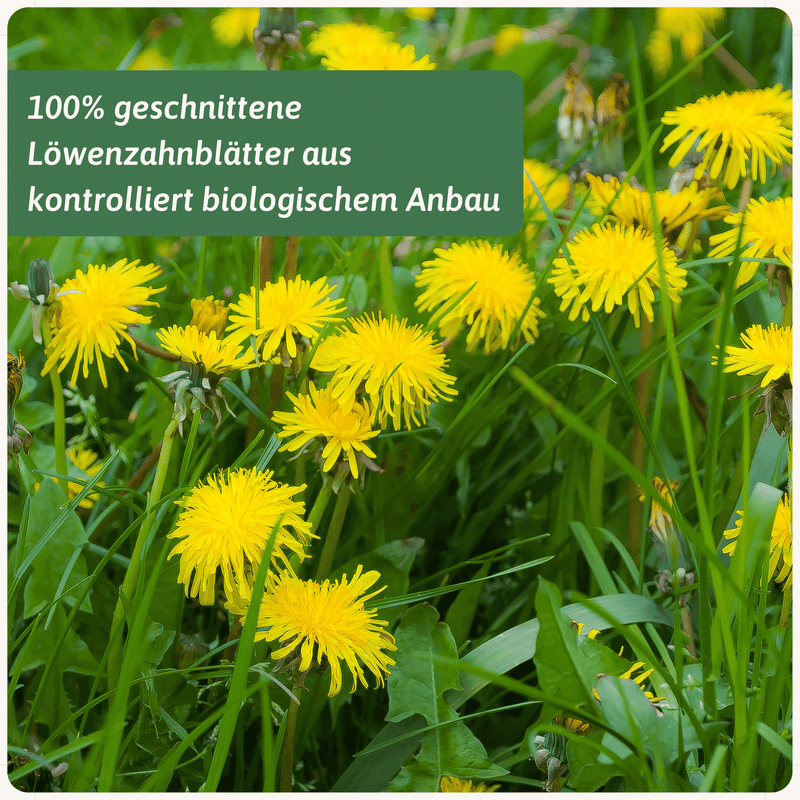 Bio Löwenzahnblätter Tee