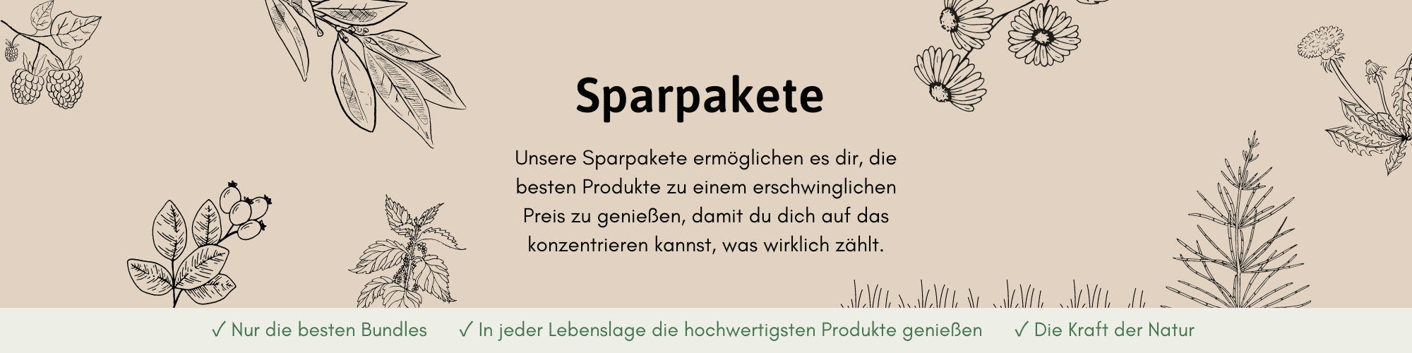 Hero-Illustration der Unterseite der Sparpakete-Seite von Herzlich Natur
