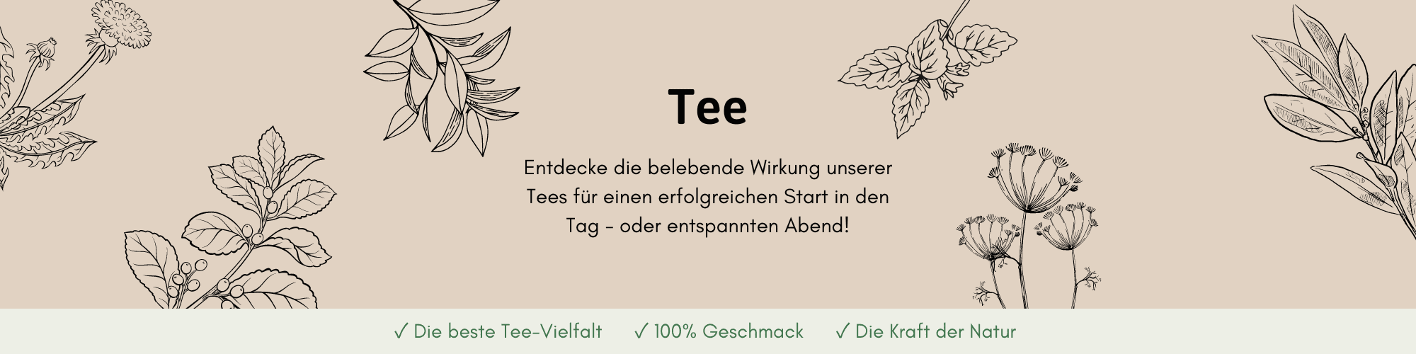 Hero-Illustration der Unterseite der Tee-Seite von Herzlich Natur