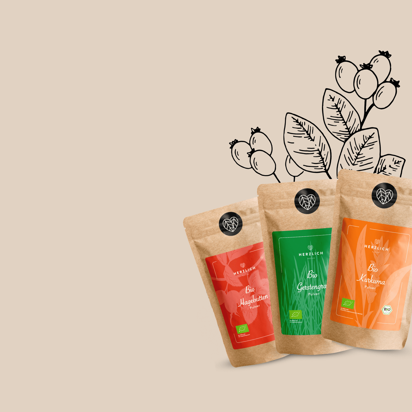  Illustration von verschiedenen Superfood Pulvern