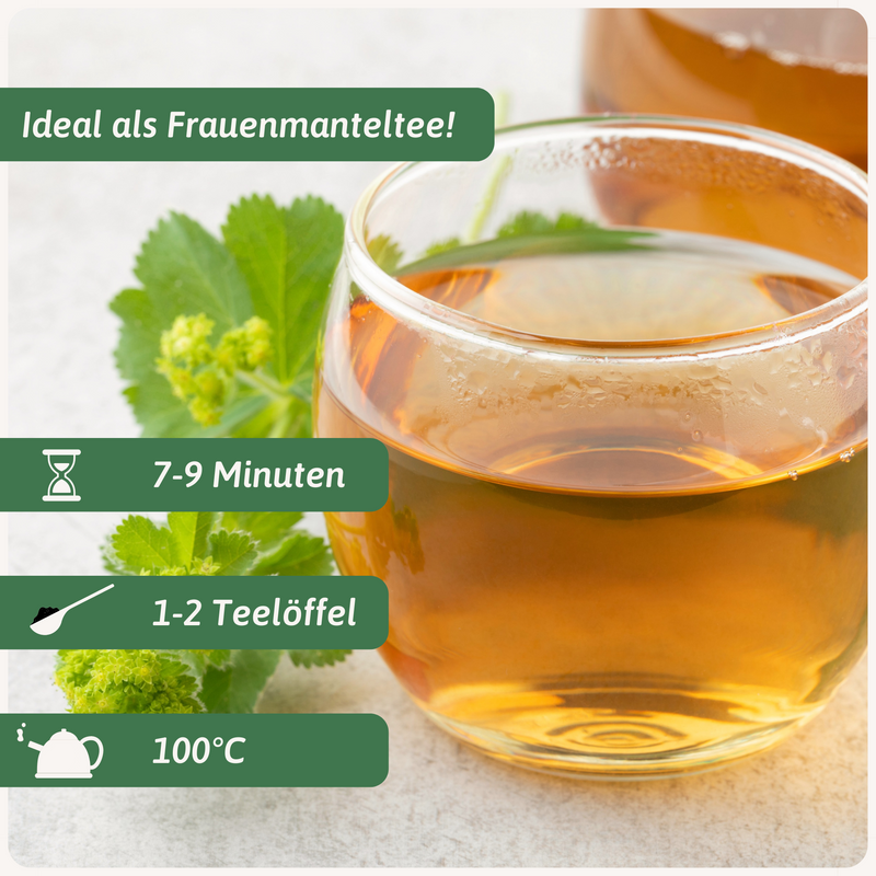 Bio Frauenmantel Tee
