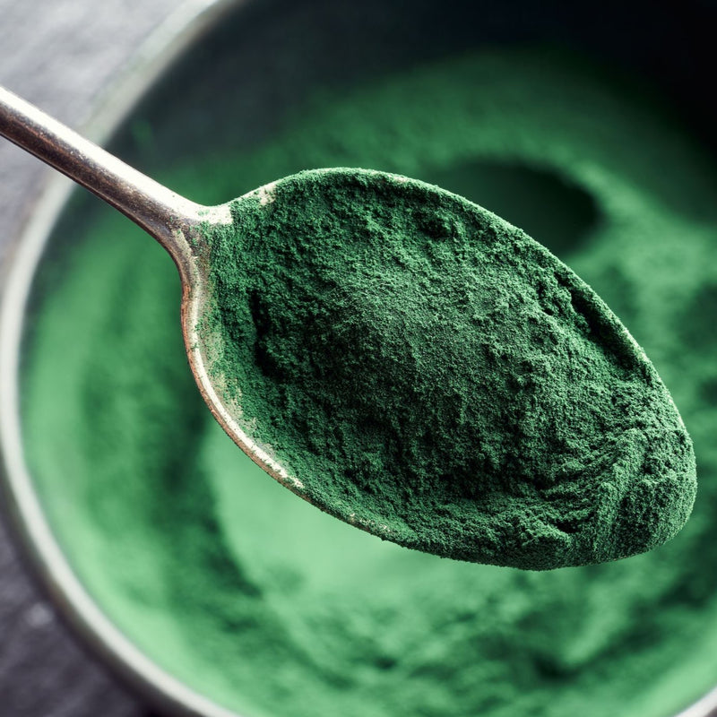 Bio Spirulina Pulver