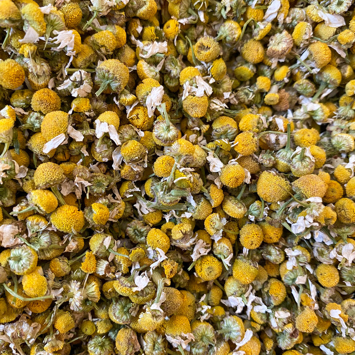 Bio Kamillenblüten Tee